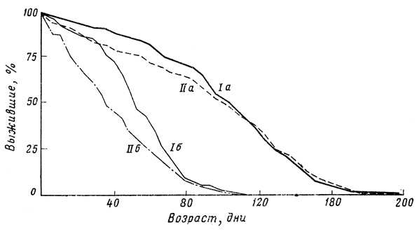 . 58.     Drosophila pseudoobscura    [1128].       (I)     F2 (II)  16 ()  25 ()