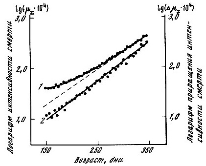 . 6.     (Z)      (2)    .        400     Tribolium confusum Duval,    [Pearl, Miner, 1941].       5-  .            30 